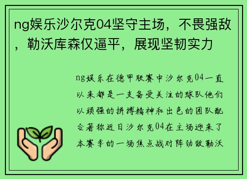 ng娱乐沙尔克04坚守主场，不畏强敌，勒沃库森仅逼平，展现坚韧实力